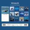image Whales 2026 Wall Calendar First Alternate Image