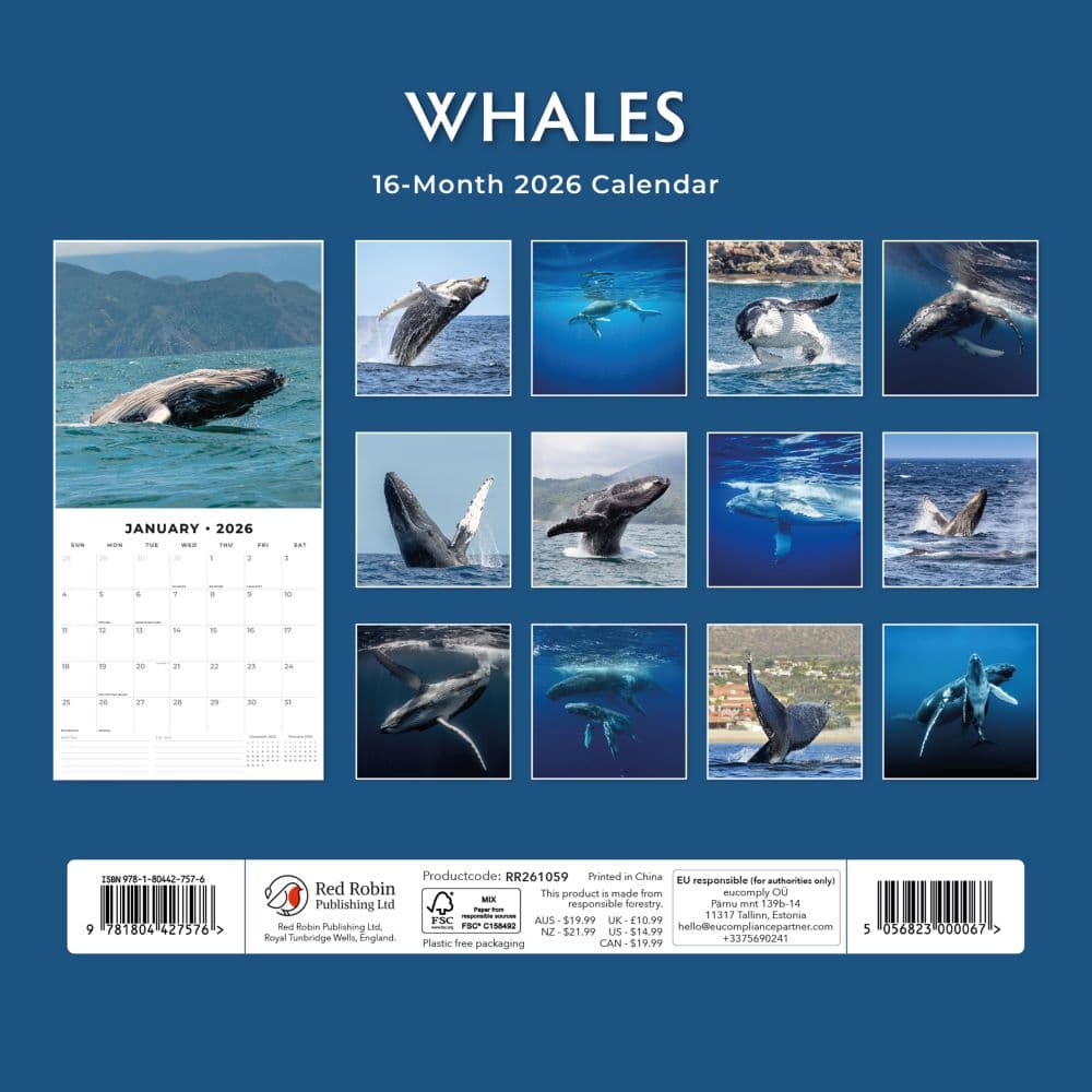 Whales 2026 Wall Calendar First Alternate Image