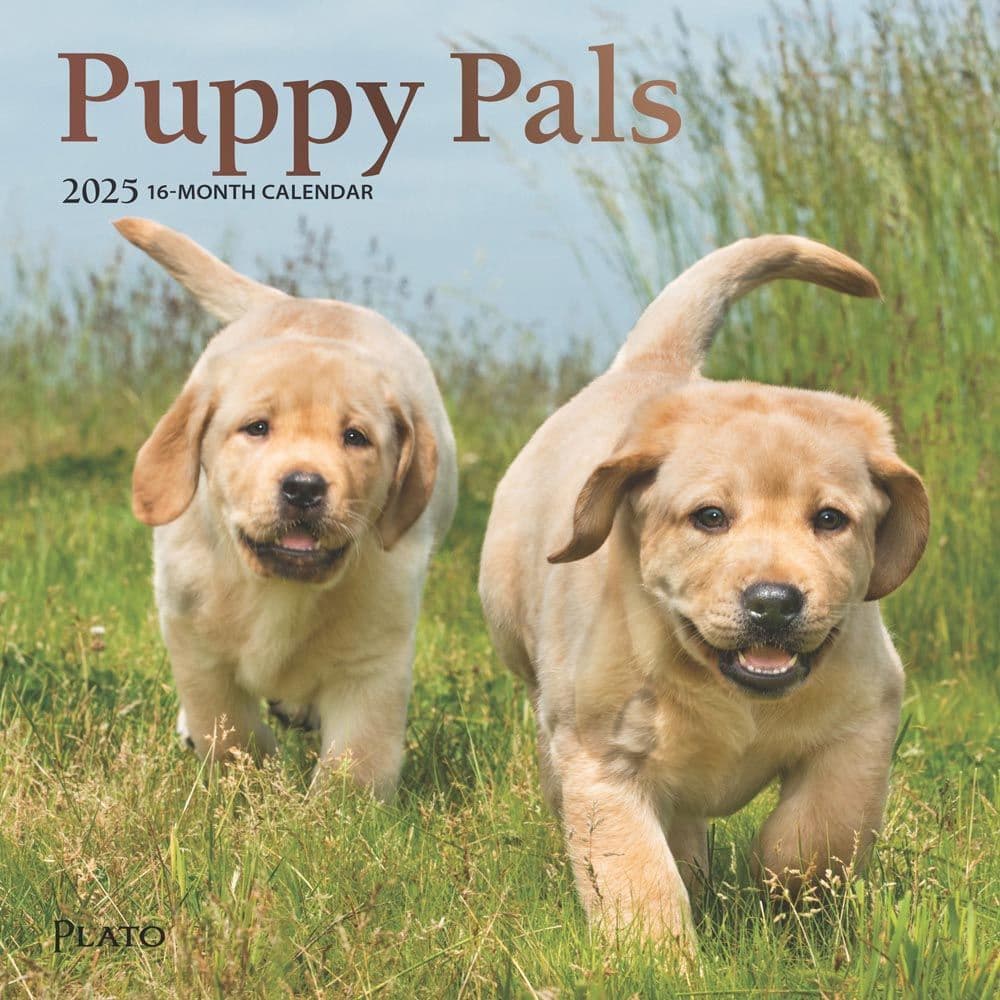 Puppies For the Love 2025 Mini Wall Calendar Main Image