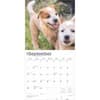 image Red Heelers 2025 Wall Calendar Third Alternate Image width=&quot;1000&quot; height=&quot;1000&quot;