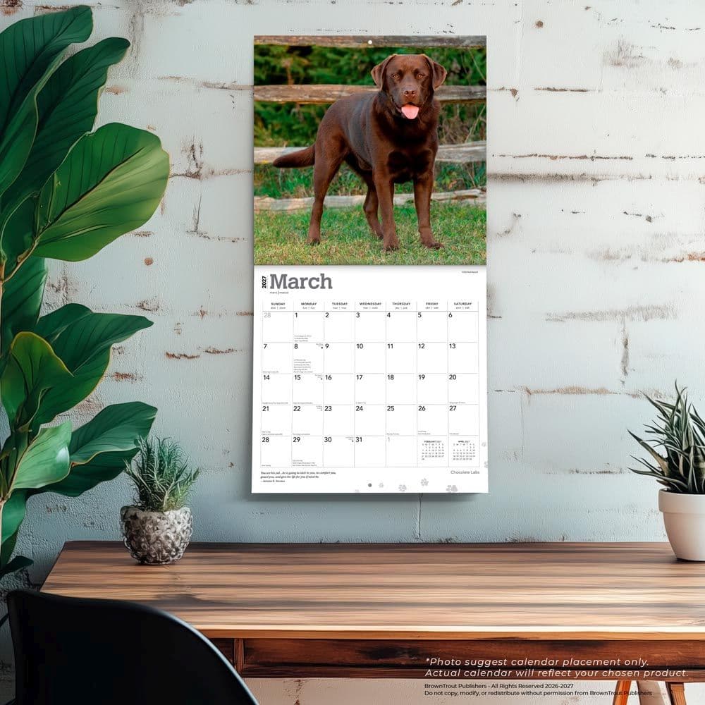 Chocolate Lab Retriever 2027 Wall Calendar Fourth Alternate Image