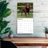 image Chocolate Lab Retriever 2027 Wall Calendar Fourth Alternate Image
