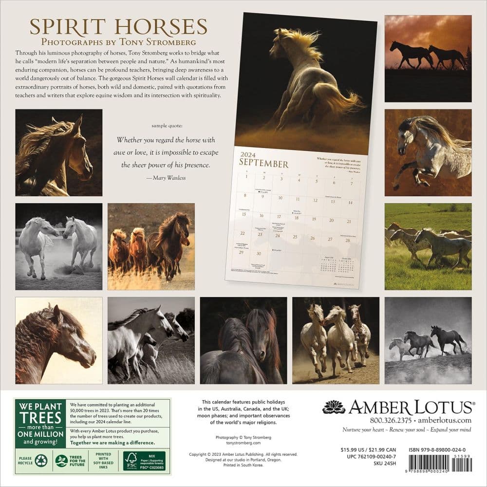 Horses Spirit 2024 Wall Calendar Calendars Com   90b0cdbd 5ddd 4b5a B12c Cdc224e44a3a