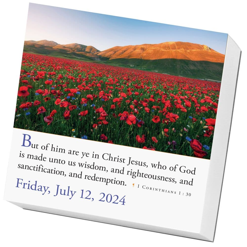 Bible Verses 2025 Desk Calendar
