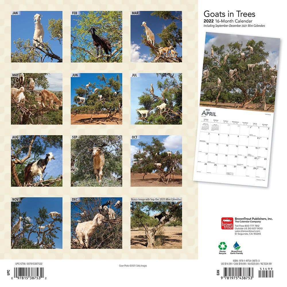 Goat Calendar 2022 Goats In Trees 2022 Wall Calendar - Calendars.com