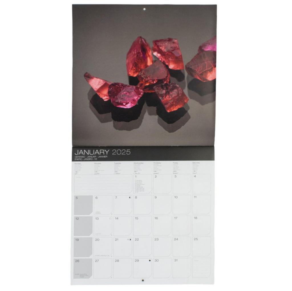 Jewels 2025 Wall Calendar Third Alternate Image