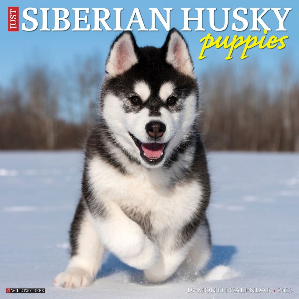 Willow Creek Press Siberian Husky Puppies Just 2023 Wall Calendar