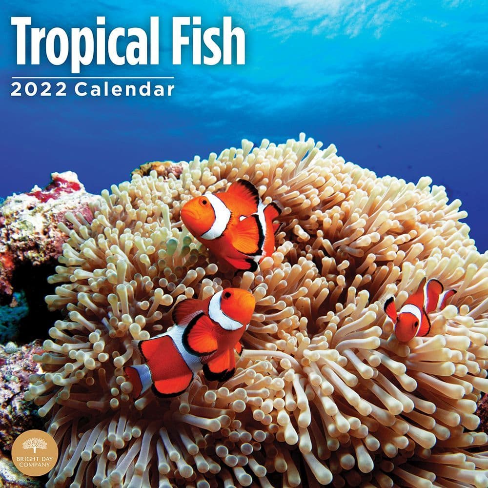 Tropical Fish 2022 Calendar