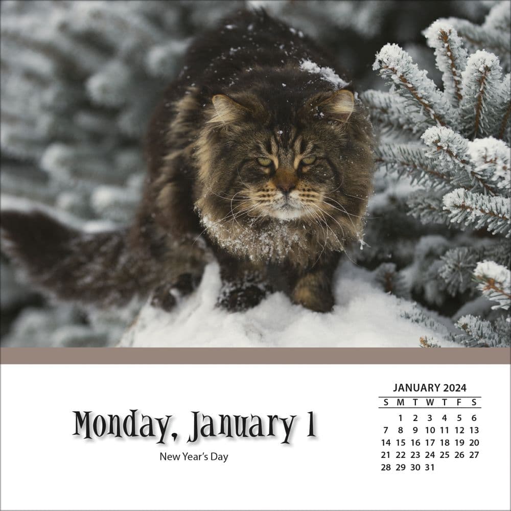 Cats And Kittens 2024 Desk Calendar Second Alternate Image width=&quot;1000&quot; height=&quot;1000&quot;