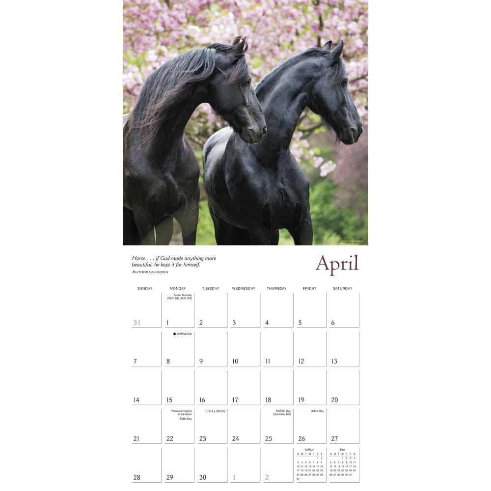 Spirited Horse 2024 Wall Calendar Alternate Image 2