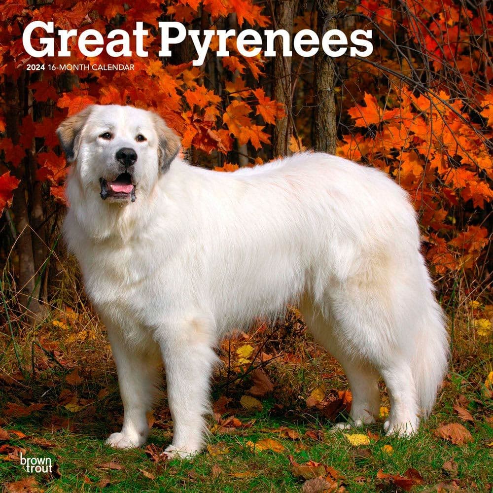 Great Pyrenees vewhl Wall Calendar