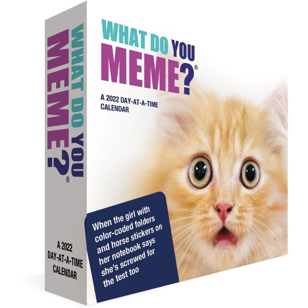 What Do You Meme 2022 Desk Calendar - Calendars.com