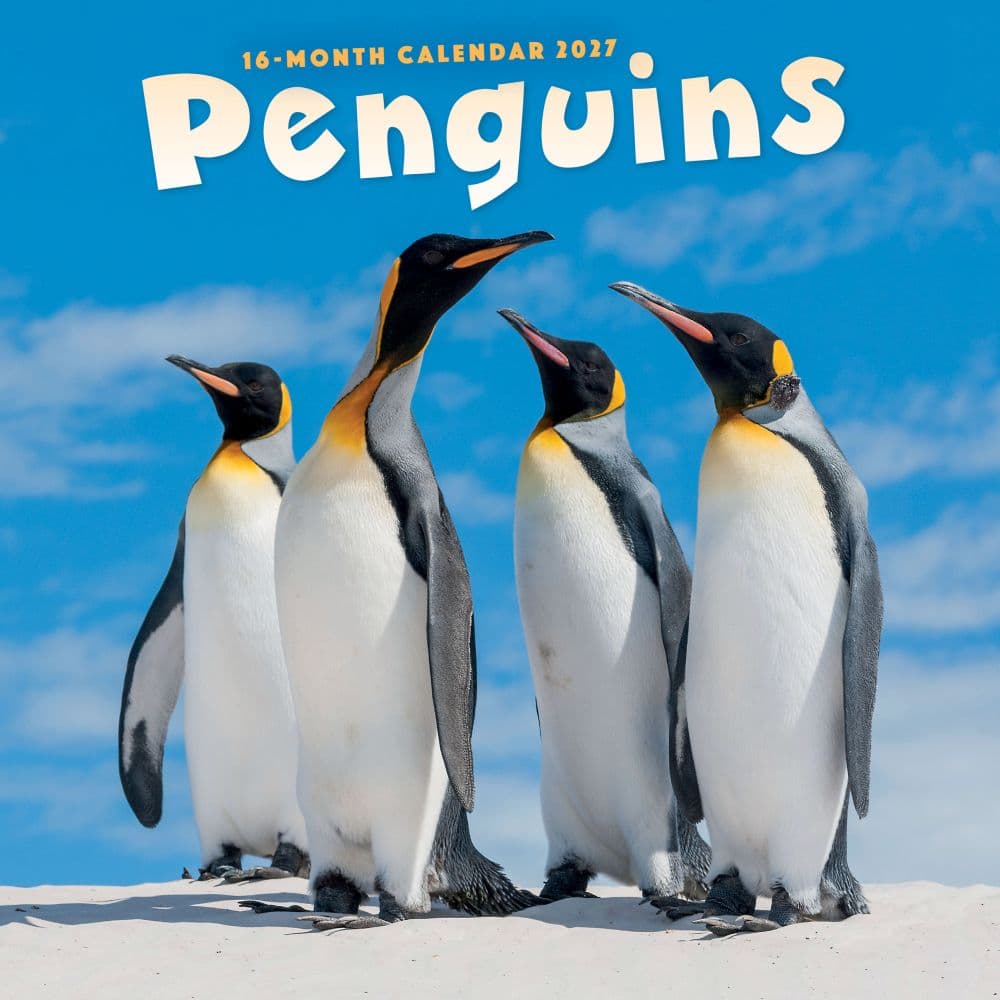 image Penguins 2027 Wall Calendar Main Image