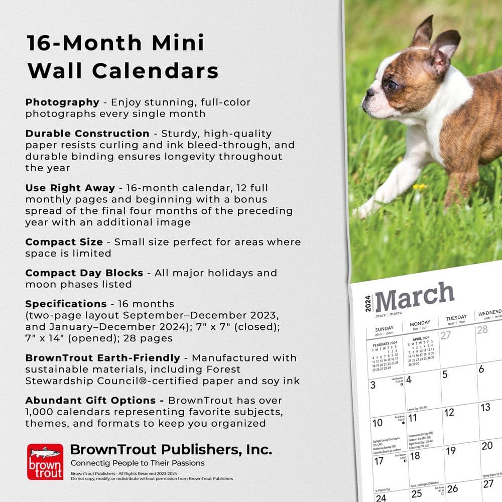 Boston Terrier Puppies 2024 Mini Wall Calendar Alternate Image 4