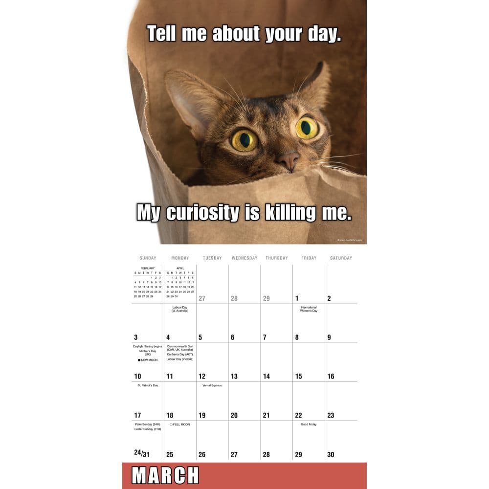Meow Memes 2025 Wall Calendar