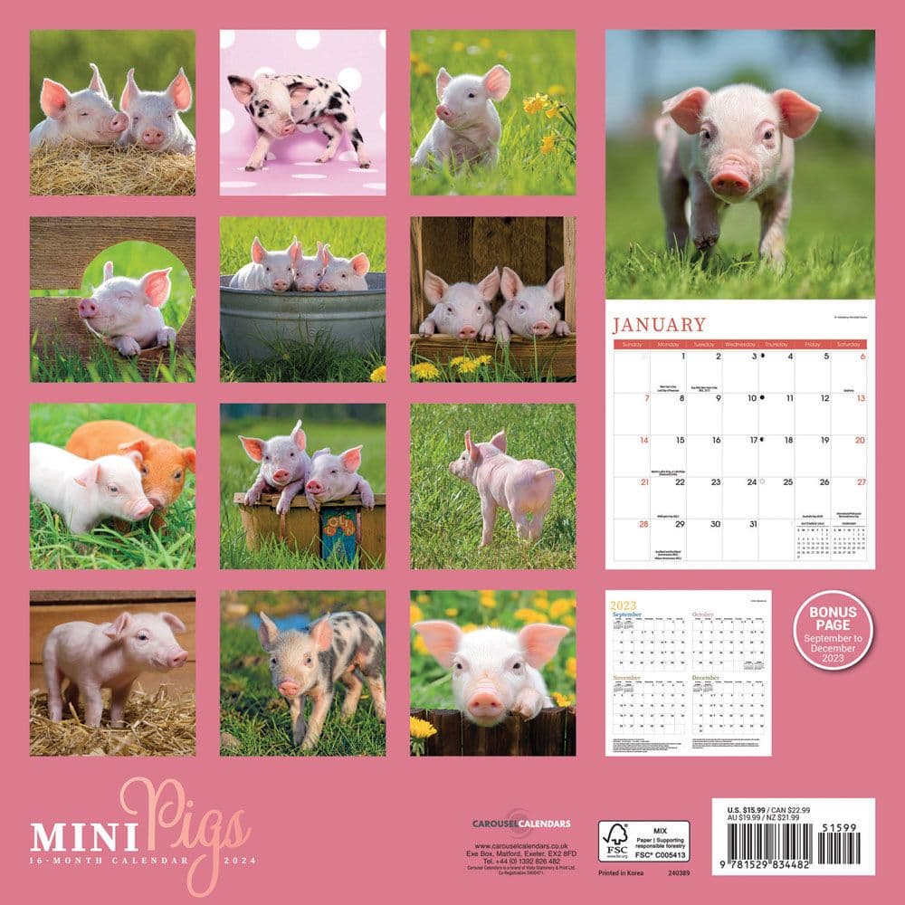 Mini Pigs 2024 Wall Calendar