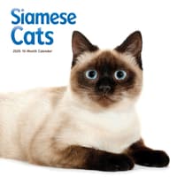 image Siamese Cats 2026 Wall Calendar  Main Image