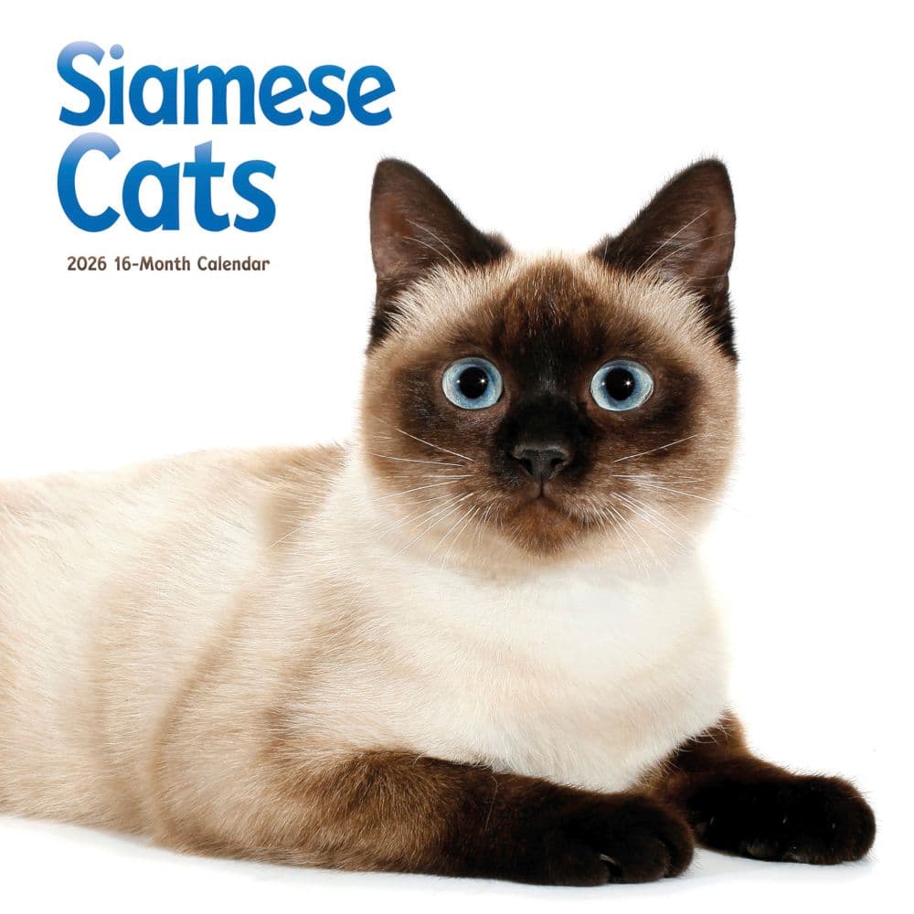 Siamese Cats 2026 Wall Calendar  Main Image