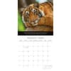 image Save the Planet 2026 Wall Calendar Third Alternate Image