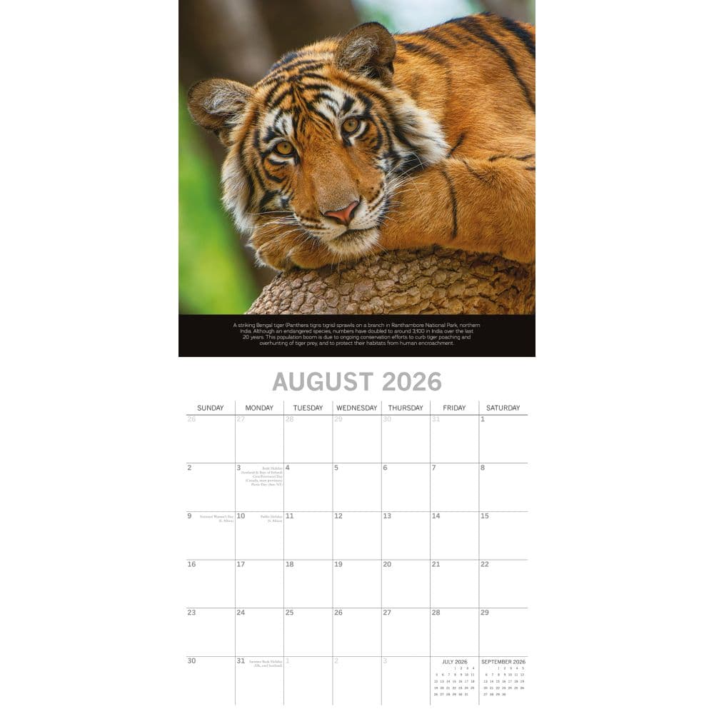 Save the Planet 2026 Wall Calendar Third Alternate Image