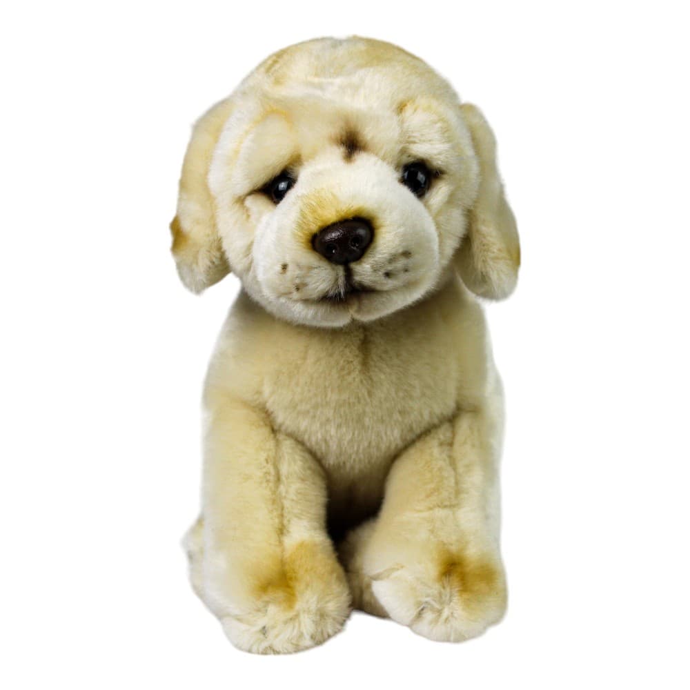 Labrador 10 Inch Plush Main Image