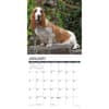 image Just Basset Hounds 2025 Wall Calendar Second Alternate Image width=&quot;1000&quot; height=&quot;1000&quot;