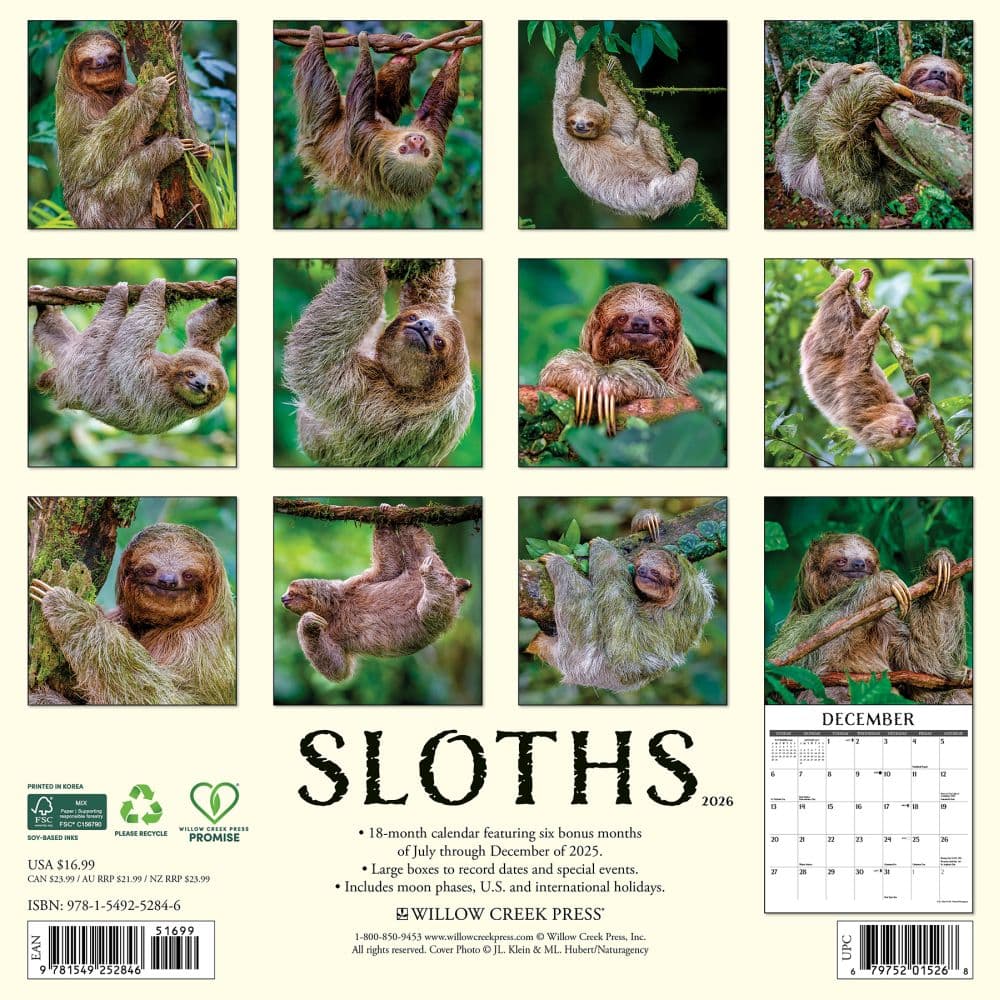 Sloths 2026 Wall Calendar First Alternate Image