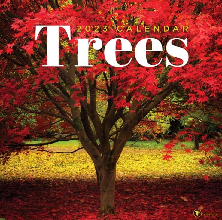 Trees 2023 Wall Calendar - Calendars.com