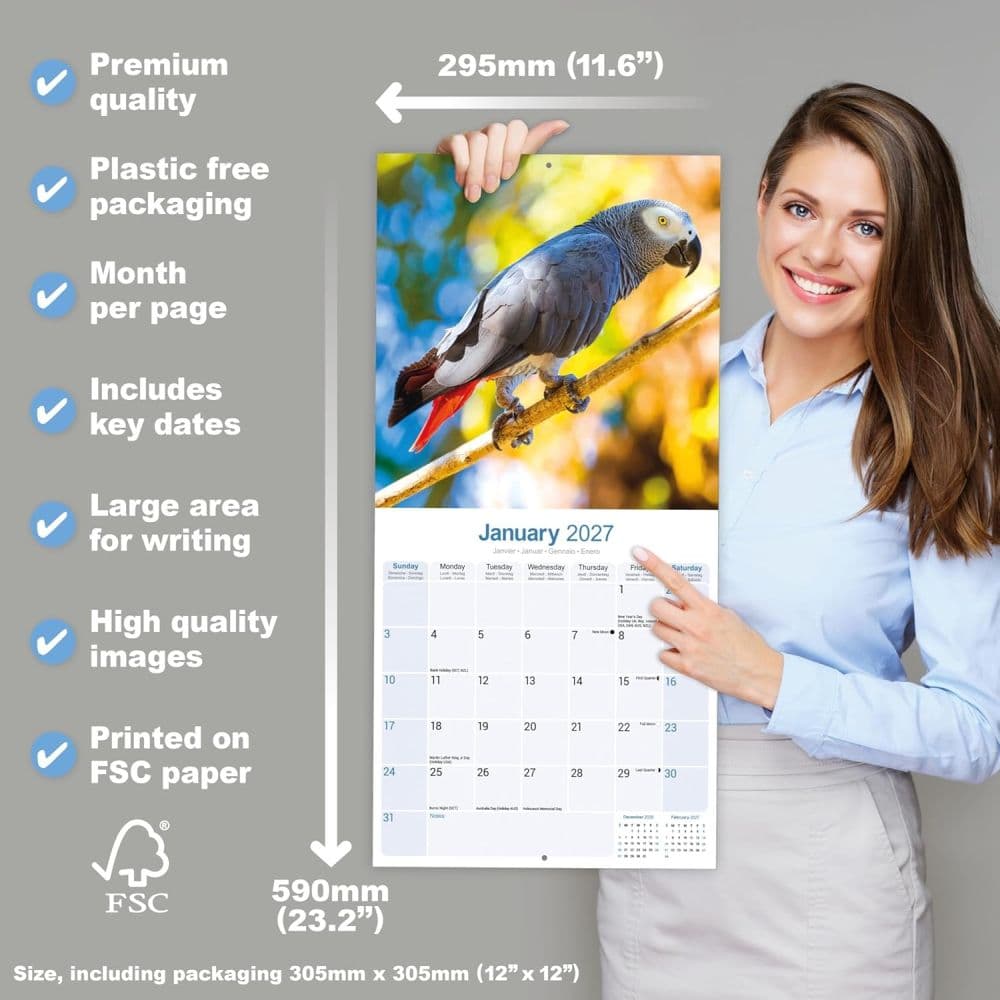African Greys 2027 Wall Calendar Fifth Alternate Image