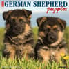 image Just German Shepherd Puppies 2025 Wall Calendar Main Image