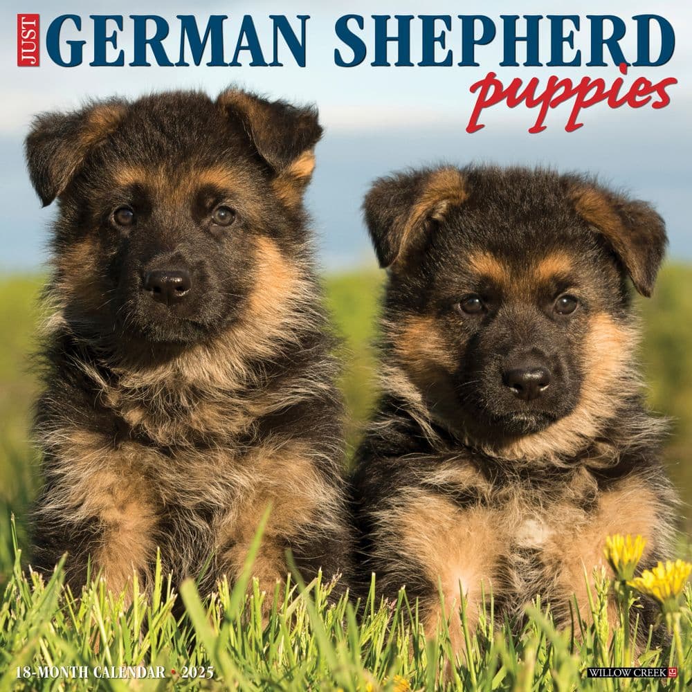 Just German Shepherd Puppies 2025 Wall Calendar Main Image