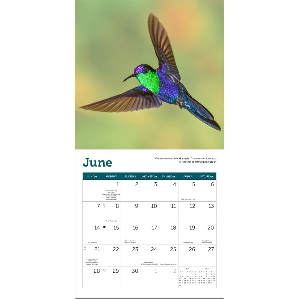 Hummingbirds 2026 Mini Wall Calendar Third alternate image