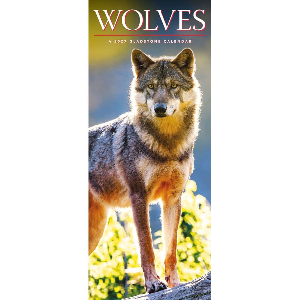 image Wolves 2027 Vertical Wall Calendar Main Image