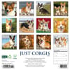 image Just Corgis 2026 Wall Calendar First Alternate Image