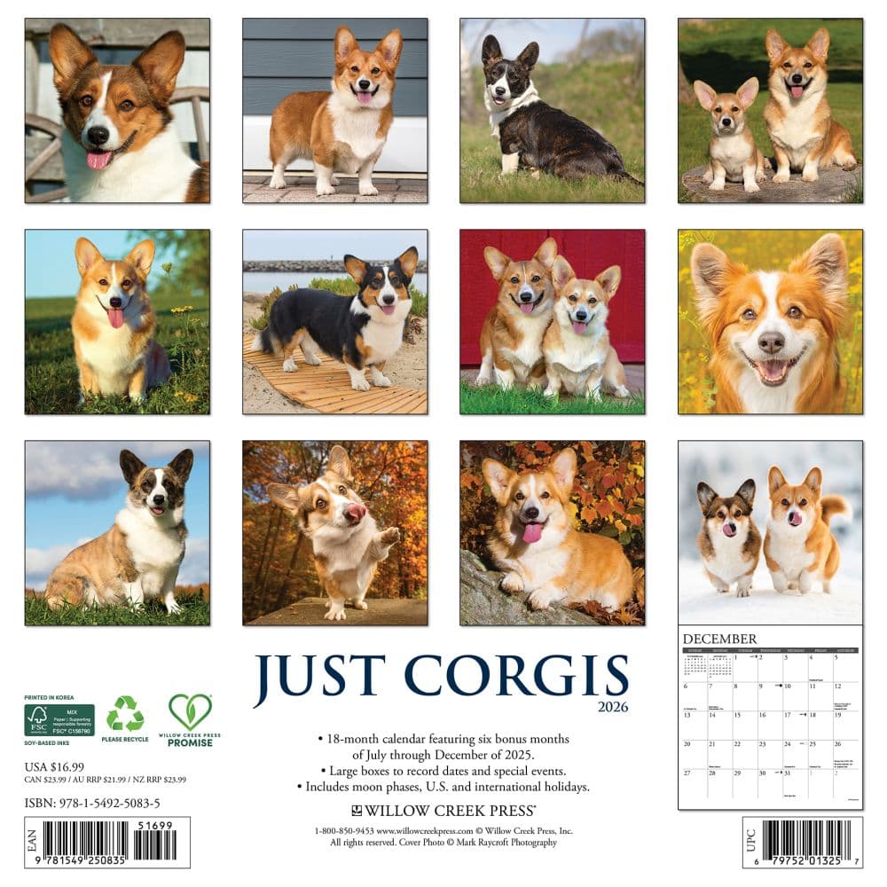 Just Corgis 2026 Wall Calendar First Alternate Image
