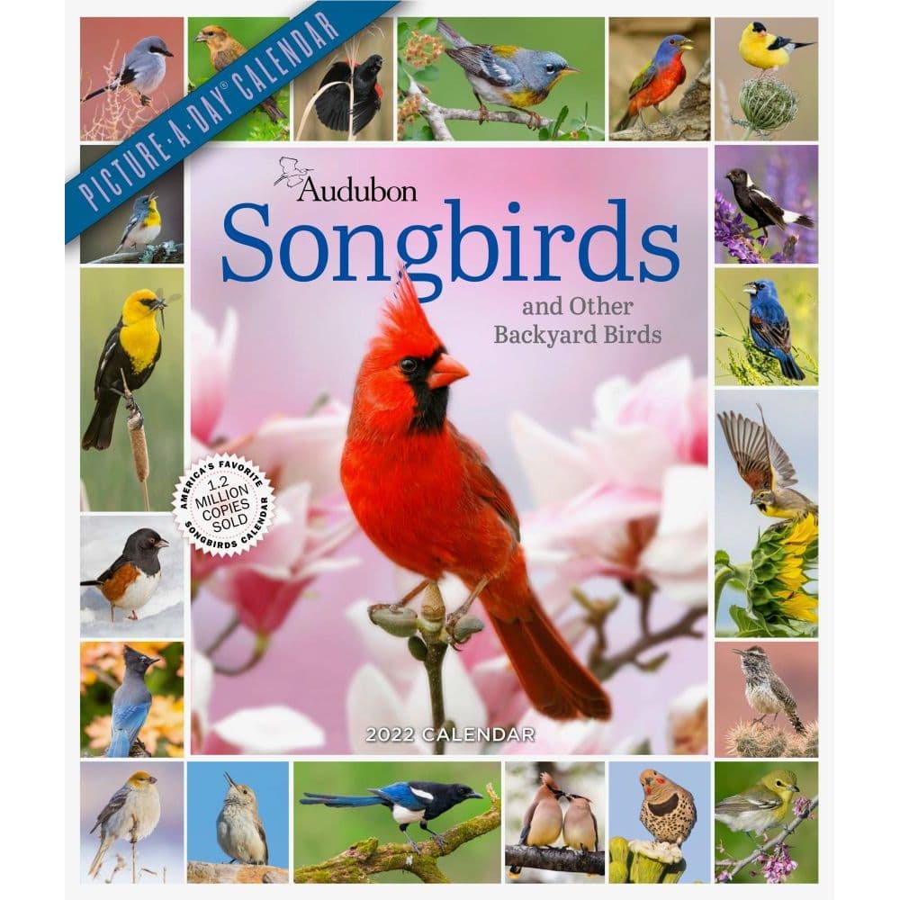 Audubon Songbirds And Other Backyard Birds 2022 Picture-A-Day Wall Calendar - Calendars.com