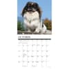 image Just Pekingese 2025 Wall Calendar Second Alternate Image width=&quot;1000&quot; height=&quot;1000&quot;