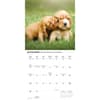 image Puppy Love 2026 Wall Calendar Fourth Alternate Image