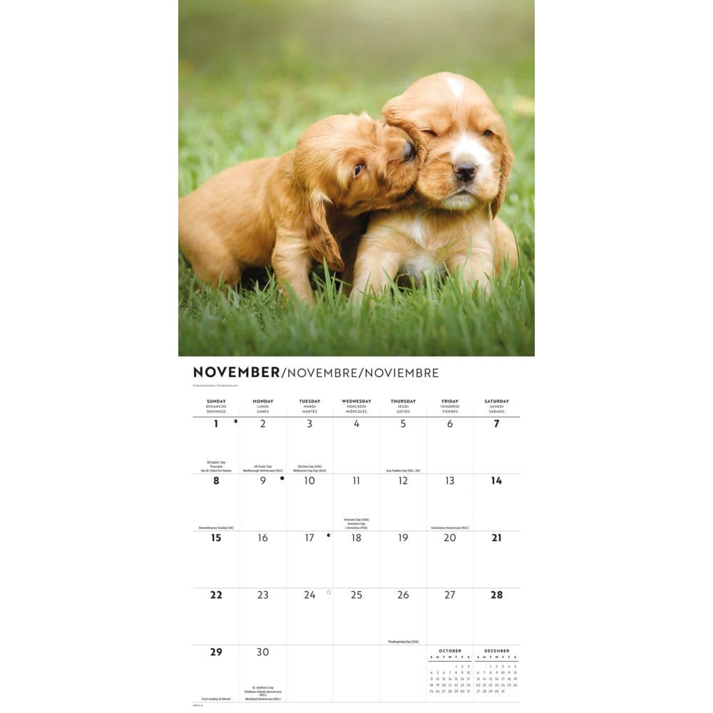 Puppy Love 2026 Wall Calendar Fourth Alternate Image