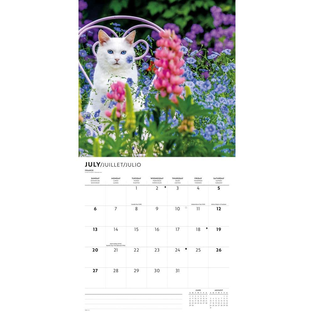 In the Garden 2025 Wall Calendar Third Alternate Image width=&quot;1000&quot; height=&quot;1000&quot;