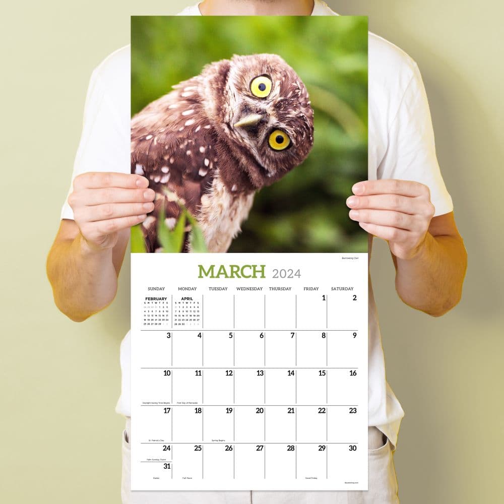 Owls 2024 Wall Calendar Calendars Com   91a05caf 9670 46ed Bb7a E31da9cc63df