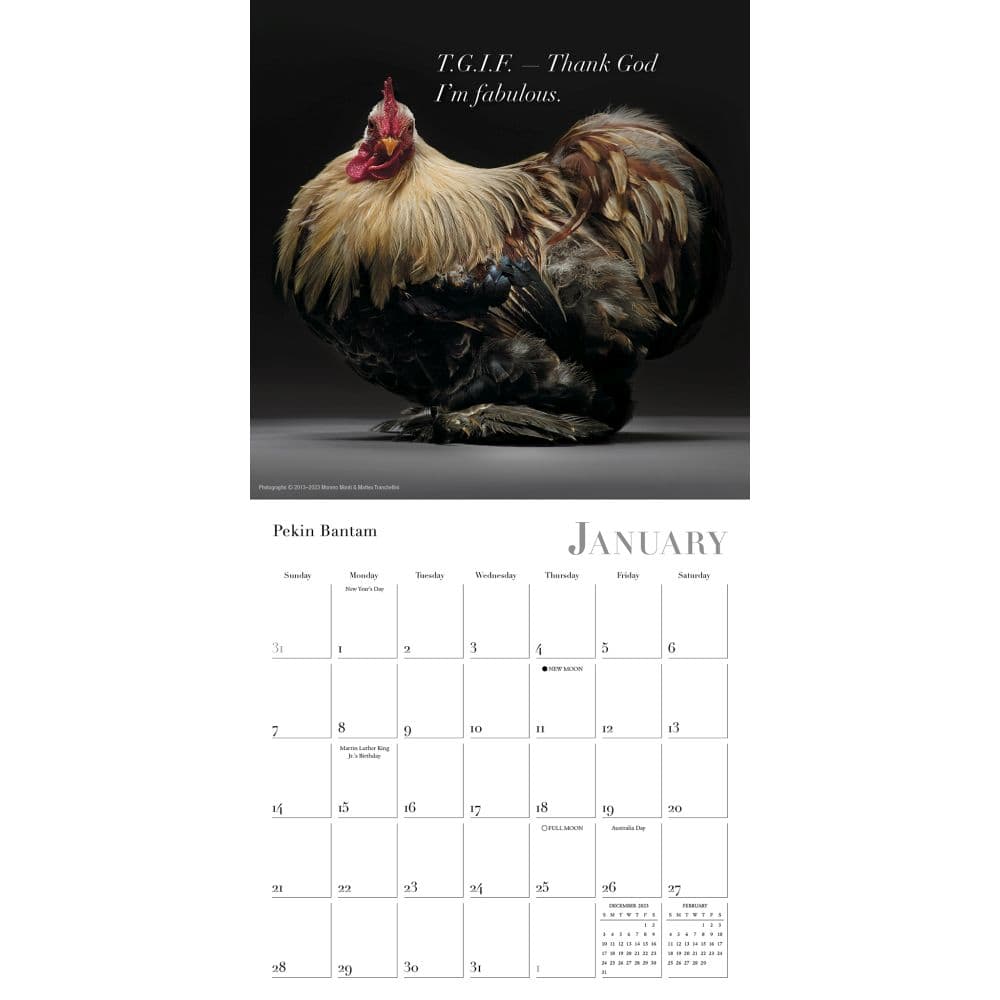 Glamour Chicks 2024 Mini Wall Calendar Alternate Image 2