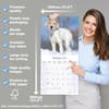 image English Setter 2027 Wall Calendar