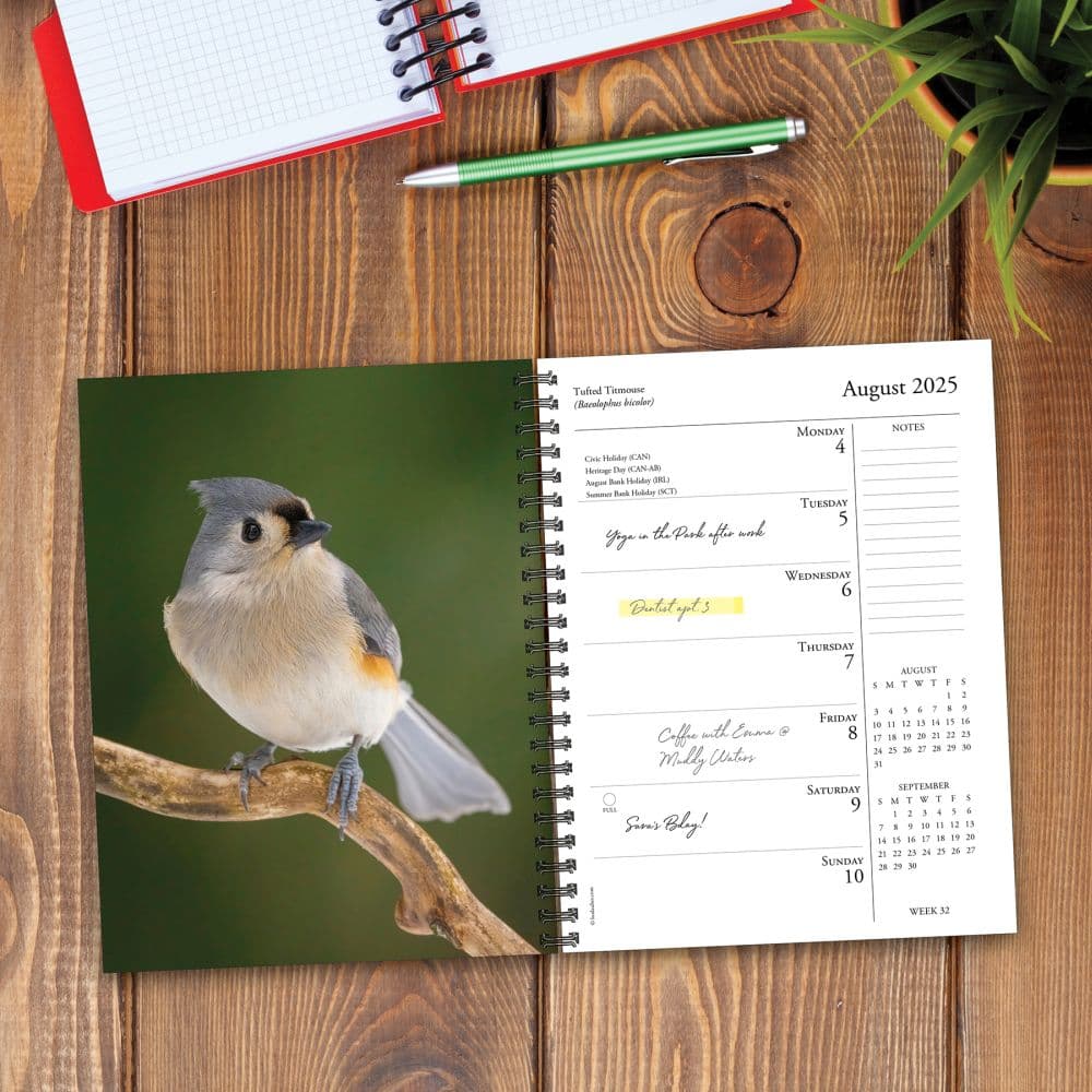 Backyard Birds 2025 Engagement Planner Second Alternate Image width=&quot;1000&quot; height=&quot;1000&quot;