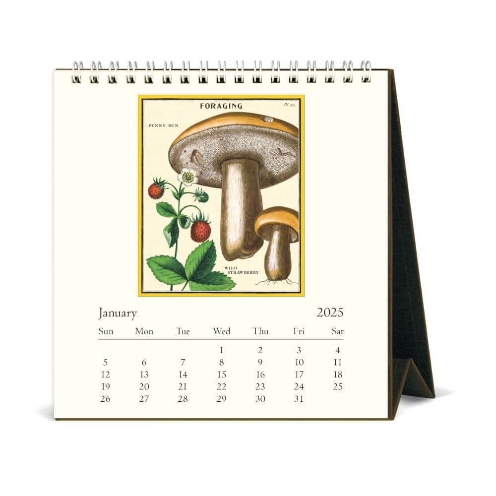 Mushrooms 2025 Easel Desk Calendar First Alternate Image width="1000" height="1000"