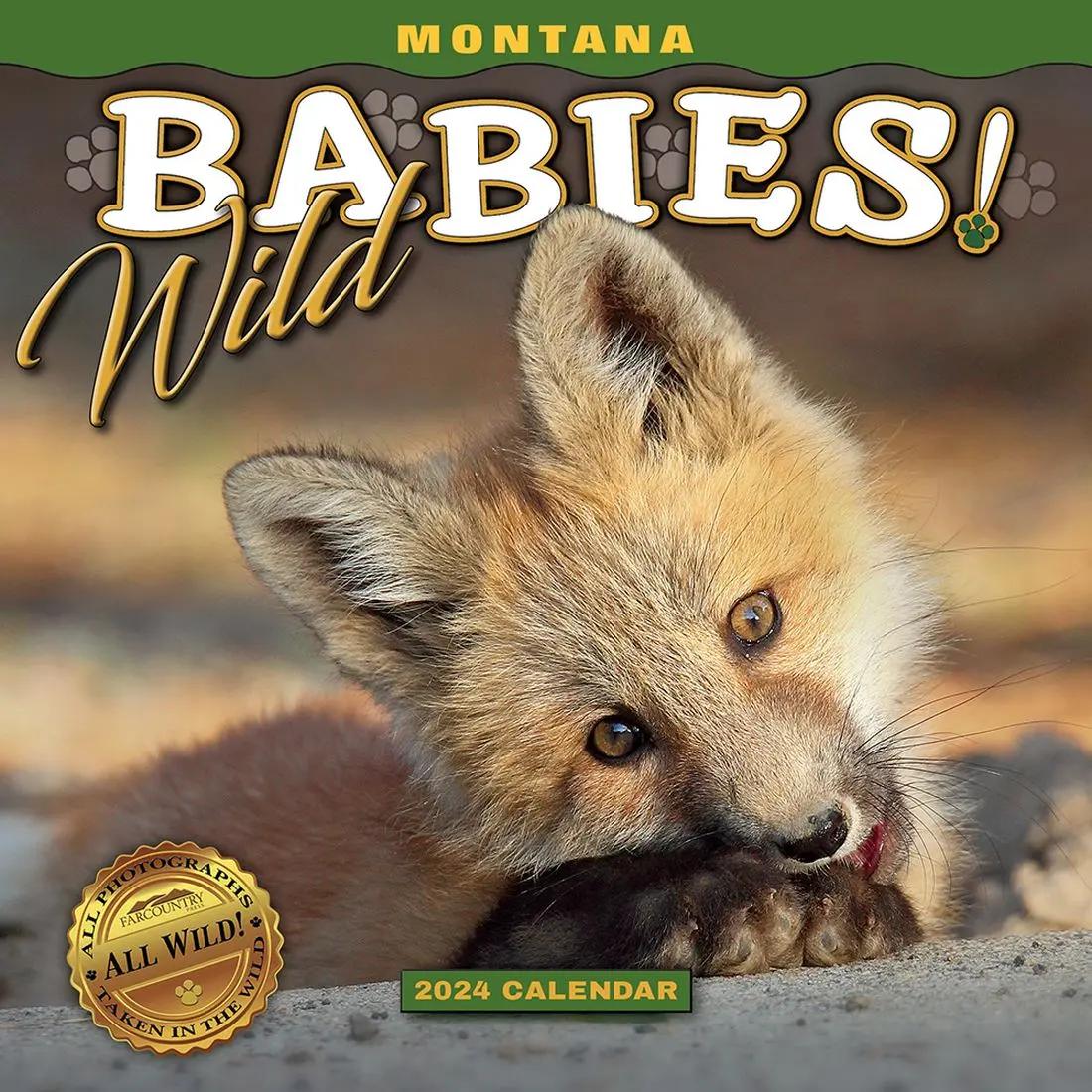 Montana Wild Babies 2024 Mini Wall Calendar Calendars Com   91d7b2a8 C0f3 422d B6b6 D7f938d51c85