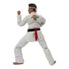 image Karate Kid Daniel GO! Exclusive Fifth Alternate Image width=&quot;1000&quot; height=&quot;1000&quot;