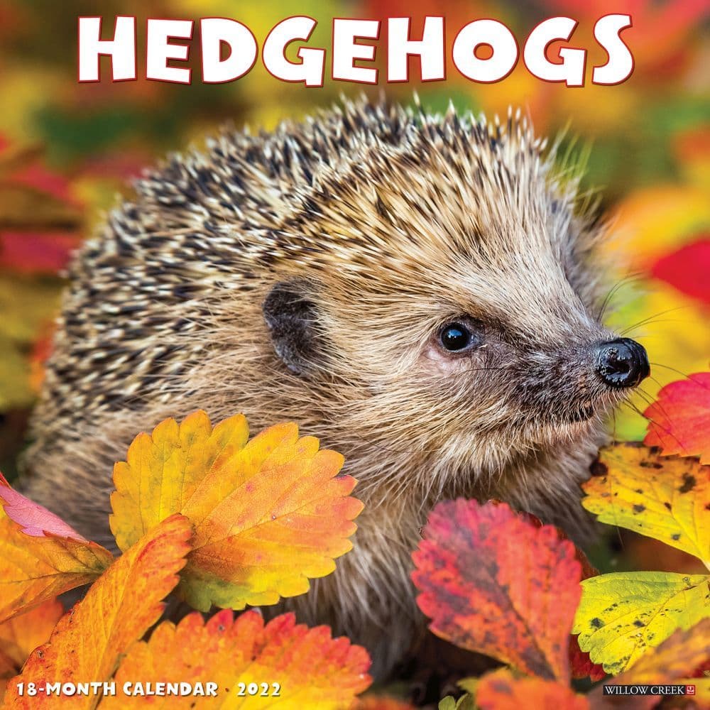 Hedgehogs Wall Calendar 2022 by Carousel Calendars 220533 