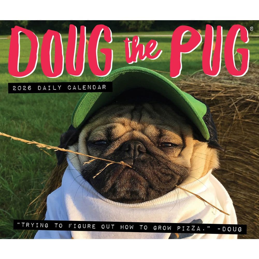 Doug the Pug 2026 Desk Calendar Fourth Alternate Image