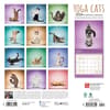 image Yoga Cats 2024 Wall Calendar First Alternate Image width=&quot;1000&quot; height=&quot;1000&quot;